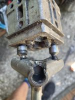IMG_0138.jpeg
