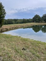 IMG_1704.jpeg