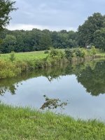 IMG_1532.jpeg
