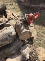 h346day222222.jpg