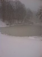 image-111683809.jpg