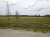 Field1.JPG