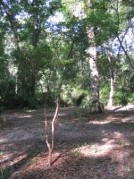 IMG_0642.jpg