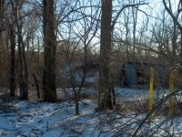 595873-Farm pics - 139.jpg