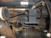 425590-pic2a.jpg