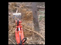 379841-TREE LEFT.jpg