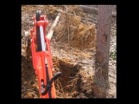 379842-TREE LEFT DIG.jpg