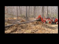 379850-BH MOVE.jpg