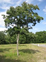 IMG_0647.jpg