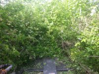 20130525_165804.jpg