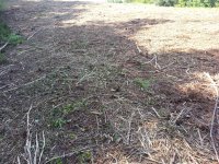 20130526_083436.jpg