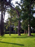 IMG_20130616_183253.jpg