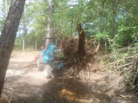 2013-07-10 10.09.03.jpg