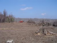 Clearing Stand 2.jpg