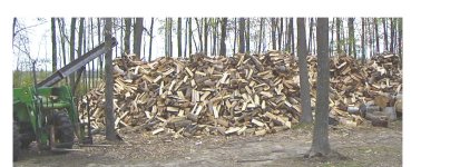 262977-bigasspile.jpg