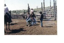 33-37923-arena6.jpg