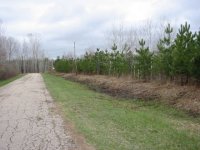 263645-ditch.jpg