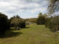 1-110954-Viewfromsouth.JPG