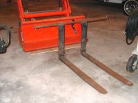 5-145735-BirdsBucketForks.jpg