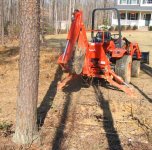 380501-tree up.jpg