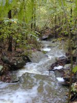513772-creek011.jpg