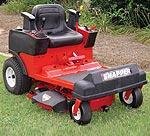 381436-snapper.jpg