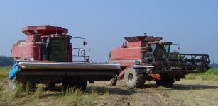 599112-2003harvest3.JPG