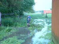 429033-aaron water and branches.jpg