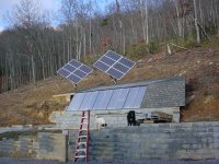 Solar panels w_dogs.jpg