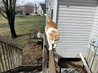 IMG_0143.jpeg
