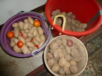 P1020116.jpg