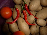 P1020117.jpg