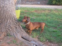 mscl pictures 159.JPG