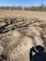 IMG_4706.JPG