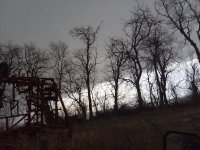 20250319_171754.jpg