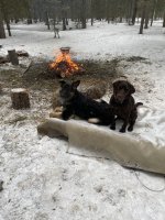 IMG_4052.jpeg