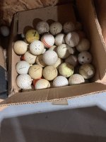 IMG_5756.jpeg