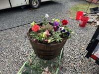 IMG_4484[1].JPG