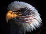 516403-eagleup3.jpg