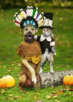 431221-Happy Thanksgiving (361 x 500).jpg