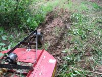 475565-IMG_1011.jpg