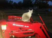 20130814_203145.jpg