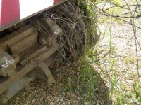 barbwire on fecon 001.jpg