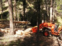 MakingTimbers 1 (8:1:13).JPG