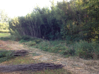 ForumRunner_20130828_212603.png
