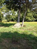 ForumRunner_20130828_212623.png