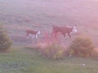 IMG-20131025-00464.jpg