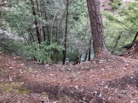 IMG_0229.jpeg
