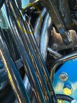IMG_3035.jpeg