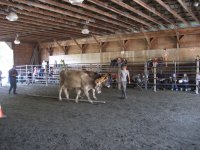 Tunbridge Fair 021.jpg